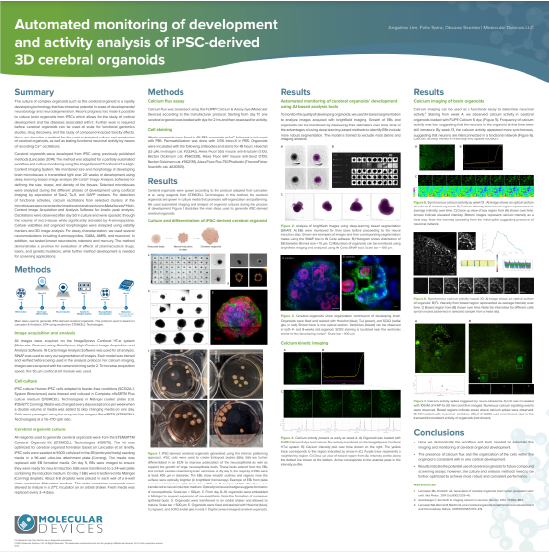 Suivi automatisé du développement et de l’activité des organoïdes cérébraux 3D dérivés d’iPSC et analyse de leur activité