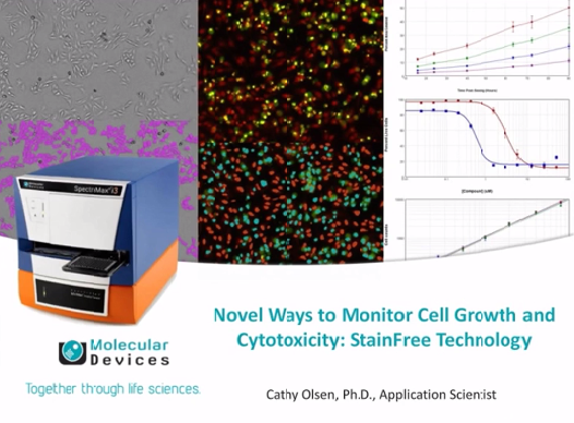 De nouvelles façons de surveiller la croissance et la cytotoxicité cellulaires : Technologie StainFree
