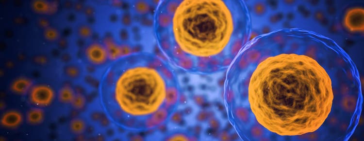 Viabilité cellulaire