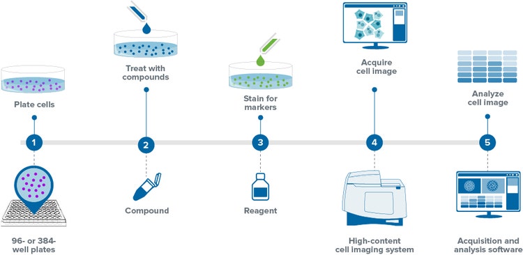 Flux de travail de l’analyse cellulaire