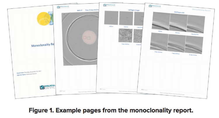 Vérification de la monoclonalité