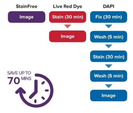 Technologie StainFree Cell Detection
