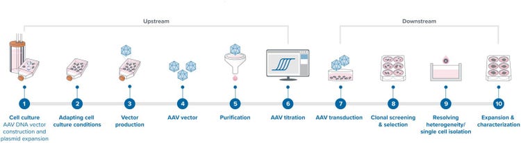 Flux de travail de production de plasmides AAV