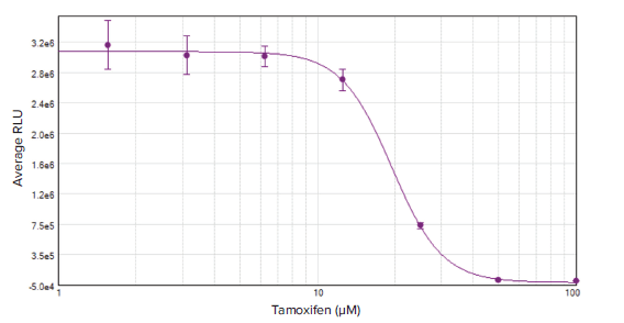 MCF7 cells treated with tamoxifen