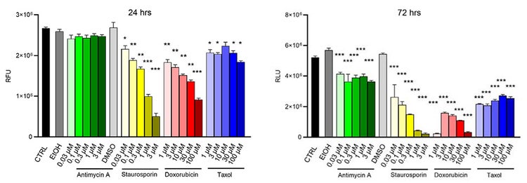 Graphs show the relative luminescence unit (RLU) of cells