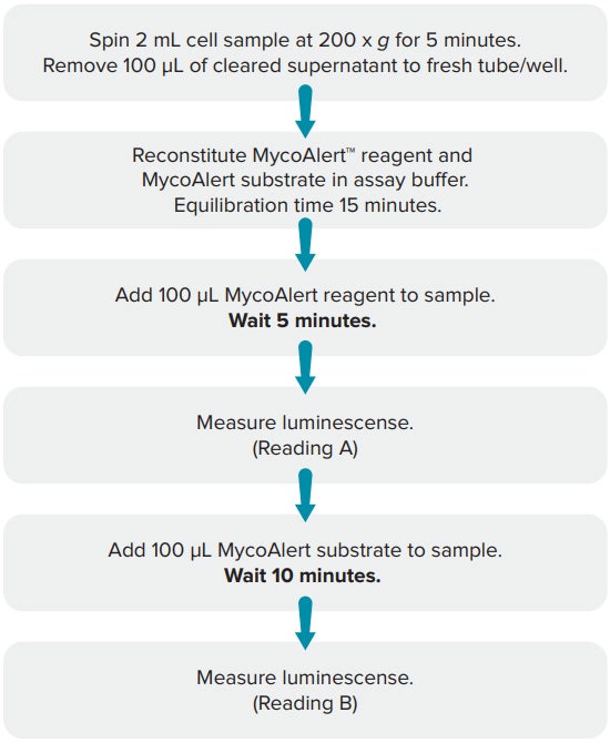 MycoAlert assay workflow