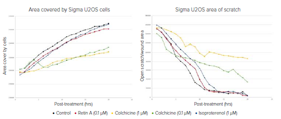 Data plotted of U2OS Cells Migrating