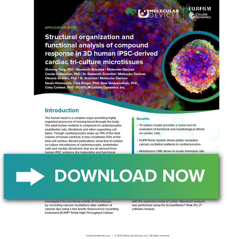 3D human iPSC-derived cardiac tri-culture microtissues