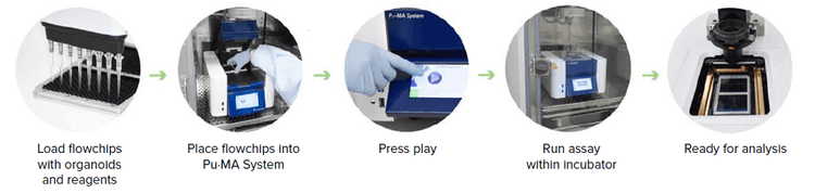 Schematic of the semi-automated tumoroid assay workflow
