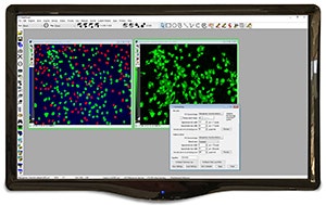 Logiciel d’automatisation et d’analyse d’images MetaMorph Microscopy