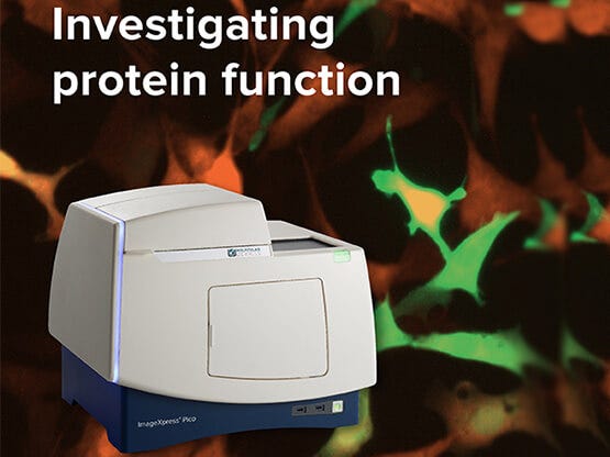 ImageXpress Pico pour étudier le fonctionnement des protéines