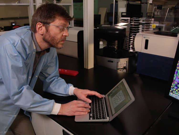 Stephen Brown, Ph.D., Directeur du Sheffield RNAi Screening Facility