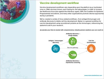 Vaccine Development Workflow