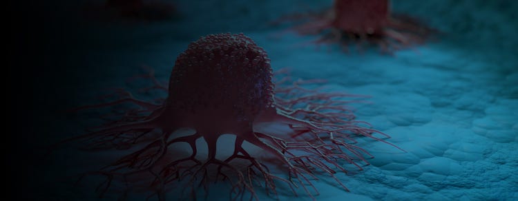 Cancer Research- Ebook