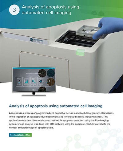 Analysis of apoptosis using automated cell imaging