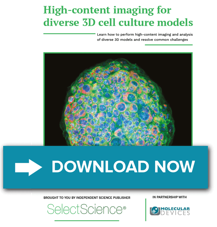 3D cell models-Ebook
