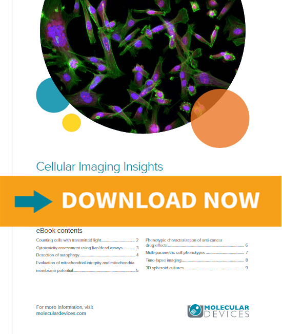 Cellular Imaging Insights