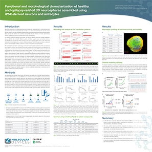3D neurospheres Poster