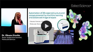 3D organoid culture webinar