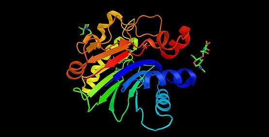 Kit de test Total DNA
