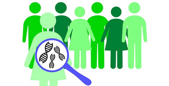 Le génotypage SNP est un processus permettant d’analyser les différences génétiques entre les individus