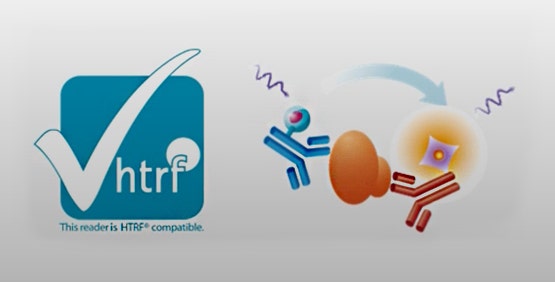 HTRF implique l’utilisation de deux fluorophores, un donneur et un accepteur