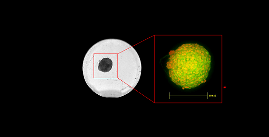 L’acquisition ciblée QuickID fonctionne en faisant l’acquisition d’un champ (field-of-view, FoV) complet