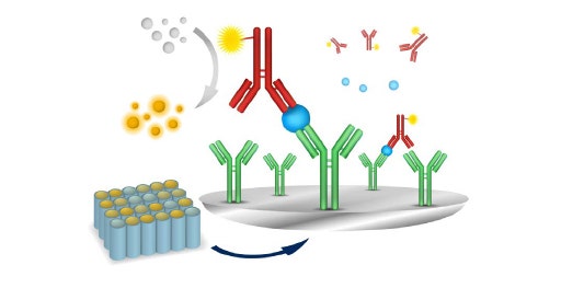 Obtenez des résultats plus rapides avec les kits ELISA