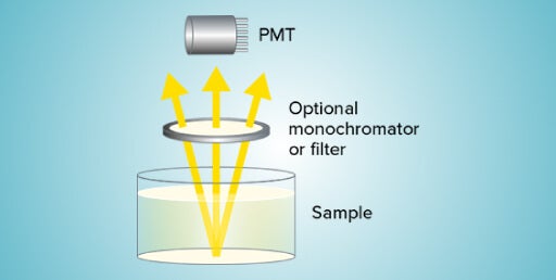 fonctionne la détection de luminescence