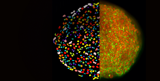 Améliorez la sensibilité, la vitesse et la qualité des tests biologiques complexes