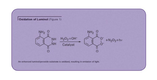 Dosage ELISA par chimioluminescence pour les FCEV