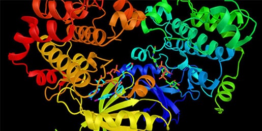 Cinétique enzymatique, croissance bactérienne/microbienne