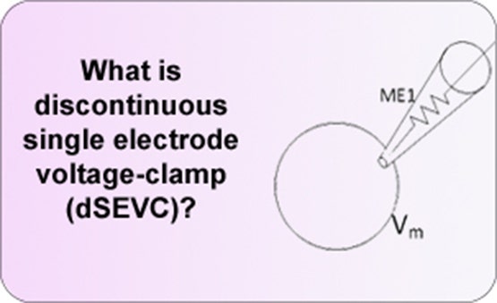 Voltage-clamp discontinu à électrode unique (dSEVC)