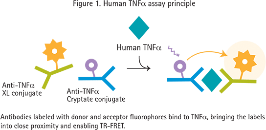 Dosages des cytokines