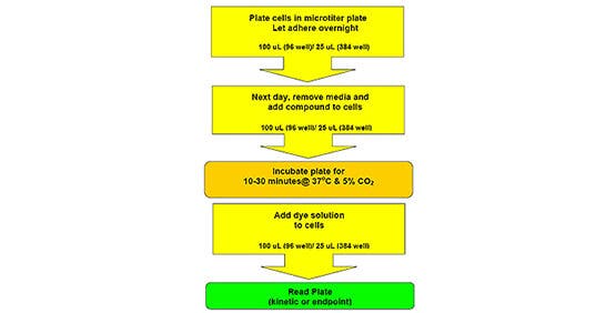 Flux de travail des transporteurs des neurotransmetteurs