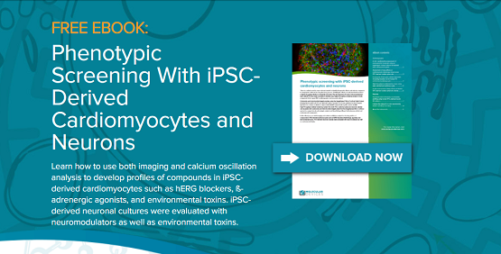 eBook : Criblage phénotypique avec des cardiomyocytes et neurones dérivés d’iPSC