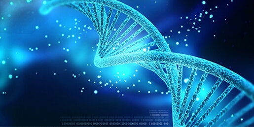 Mesures d’absorbance de l’ADN/ARN