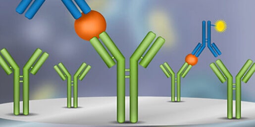 Tests ELISA / Tests immunologiques (Quantification des antigènes, anticorps, cytokines…)