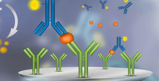 ELISA (dosage d’immunoabsorption enzymatique)