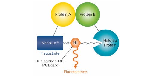NanoBRET/BRET