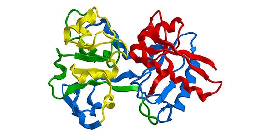 Kit de test Immunoligand