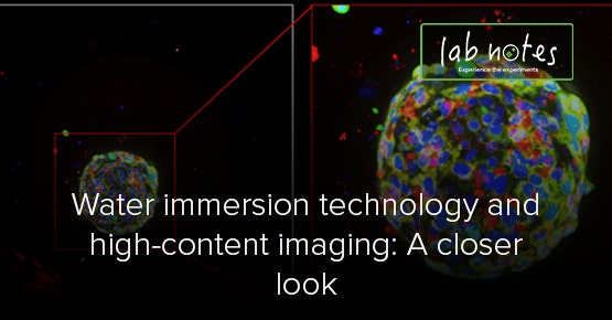 Technologie d’immersion dans l'eau et imagerie haut contenu : De plus près