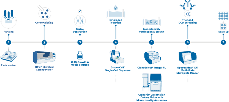 Détection d’anticorps monoclonaux