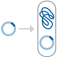 Flux de travail de la transformation