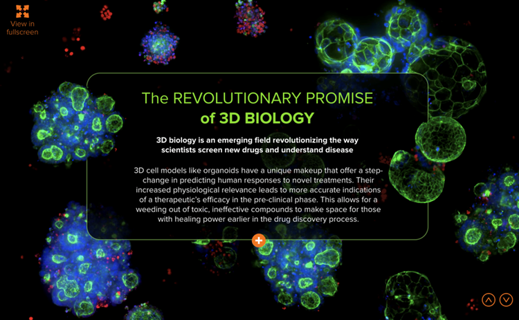 La promesse révolutionnaire de la biologie 3D