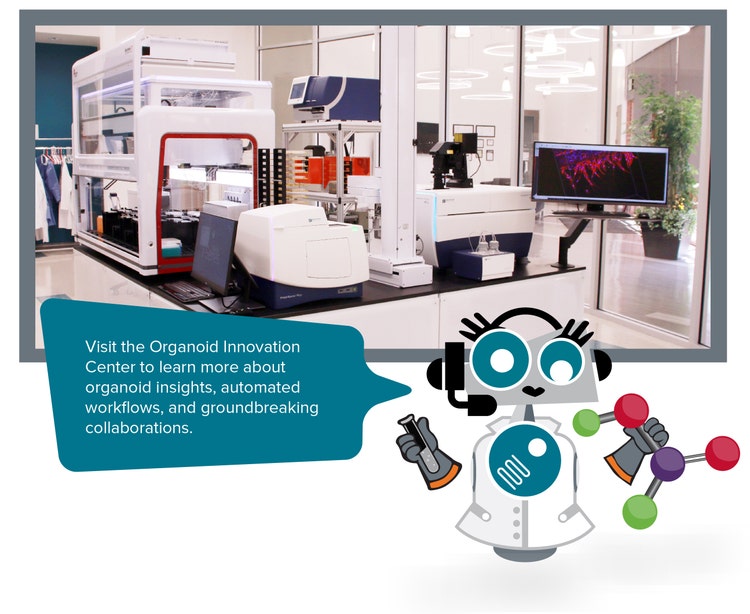 Centre d’innovation des organoïdes