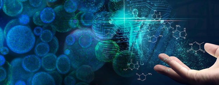 Comment les modèles cellulaires 3D façonneront l’avenir de la découverte des médicaments