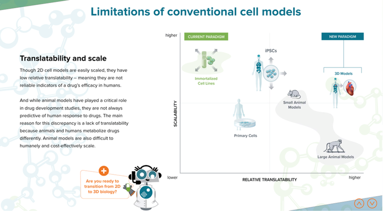 modèles cellulaires conventionnels