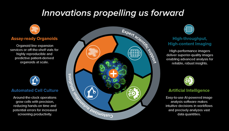 Innovation radicale dans la technologie des organoïdes