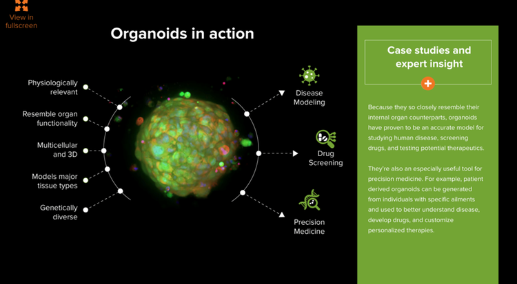 cas d’utilisation d’organoïdes